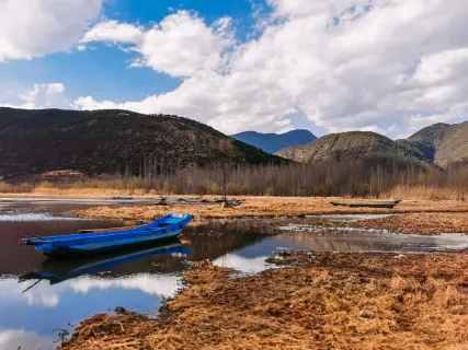 FutoCasi Casino Farsímaforrit